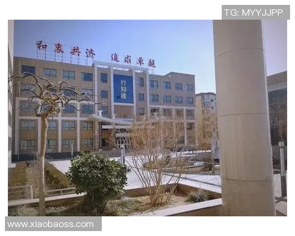 深圳篮球队的蜕变之路:从传统强队到现代化竞技新标杆 深圳篮球队的蜕变之路:从传统强队到现代化竞技新标杆