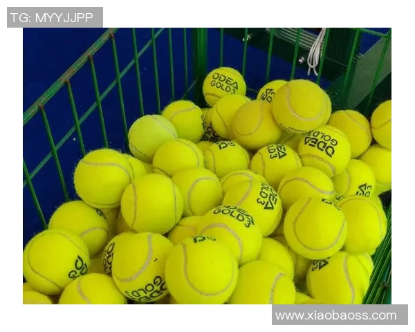 网球新手必看:全面入门指南与实用技巧分享 网球新手必看:全面入门指南与实用技巧分享