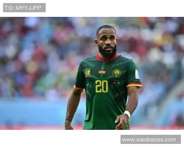 喀麦隆足球传奇人物的崛起与辉煌成就探秘