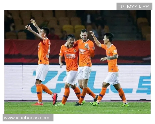 武汉网球队实力分析及其在国内外赛事中的表现评估