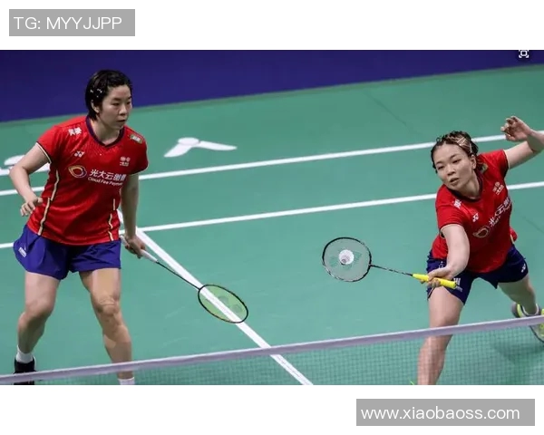 武汉羽毛球队与杭州羽毛球队赛后复盘分析力量对比与战术探讨