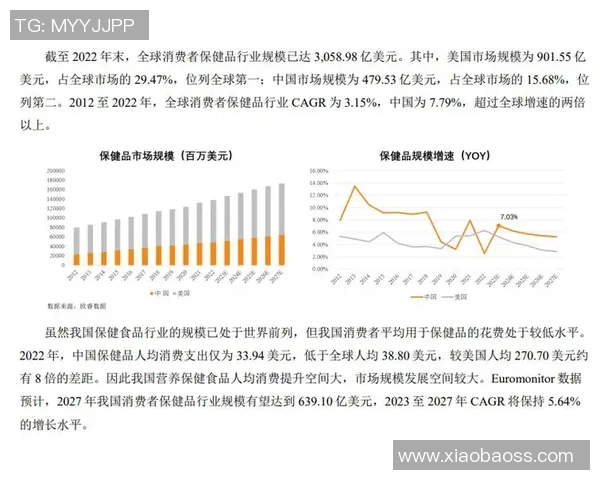 武汉羽毛球队在全国锦标赛中的团队协作表现分析与点评