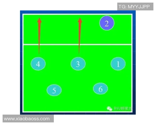 深圳排球队与重庆排球队赛后配合分析与战术总结