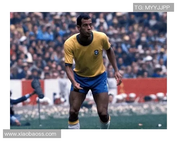 英国足球明星大盘点谁是你心目中的传奇球员与他们的辉煌成就