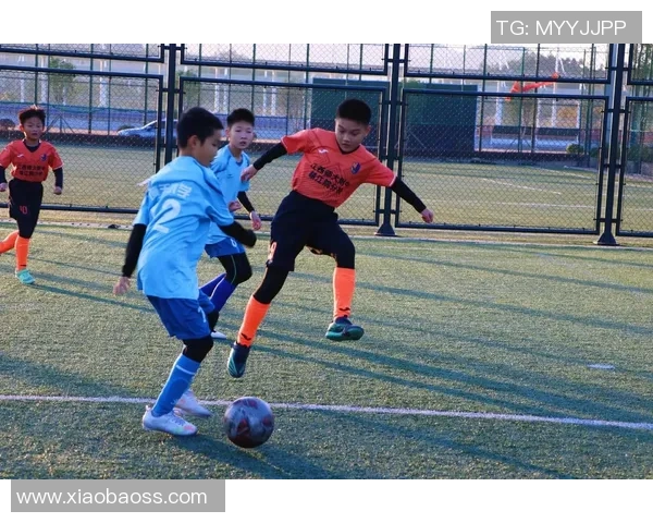 永和足球的崛起与发展探索如何推动地方体育文化的繁荣与团结 永和足球的崛起与发展探索如何推动地方体育文化的繁荣与团结