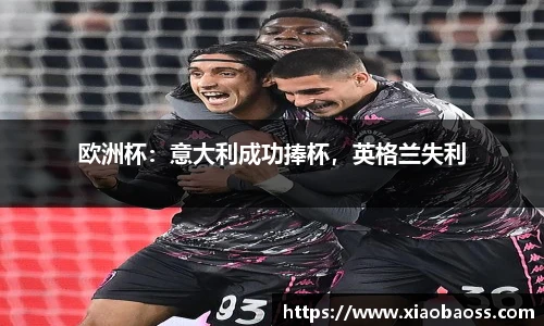 欧洲杯：意大利成功捧杯，英格兰失利