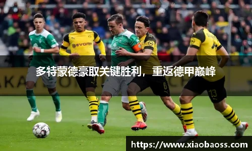 完美体育官网