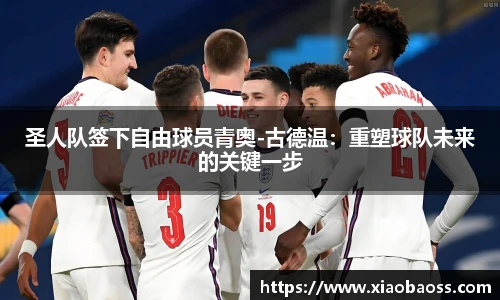 圣人队签下自由球员青奥-古德温：重塑球队未来的关键一步