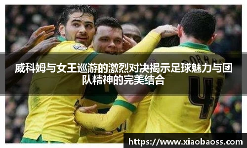 完美体育登录入口