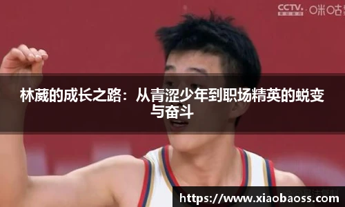 完美体育登录入口