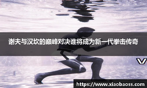 谢夫与汉坎的巅峰对决谁将成为新一代拳击传奇
