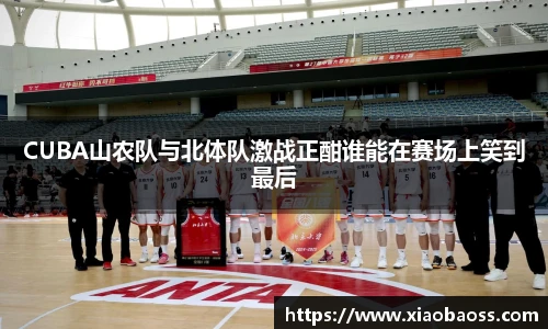 完美体育登录入口